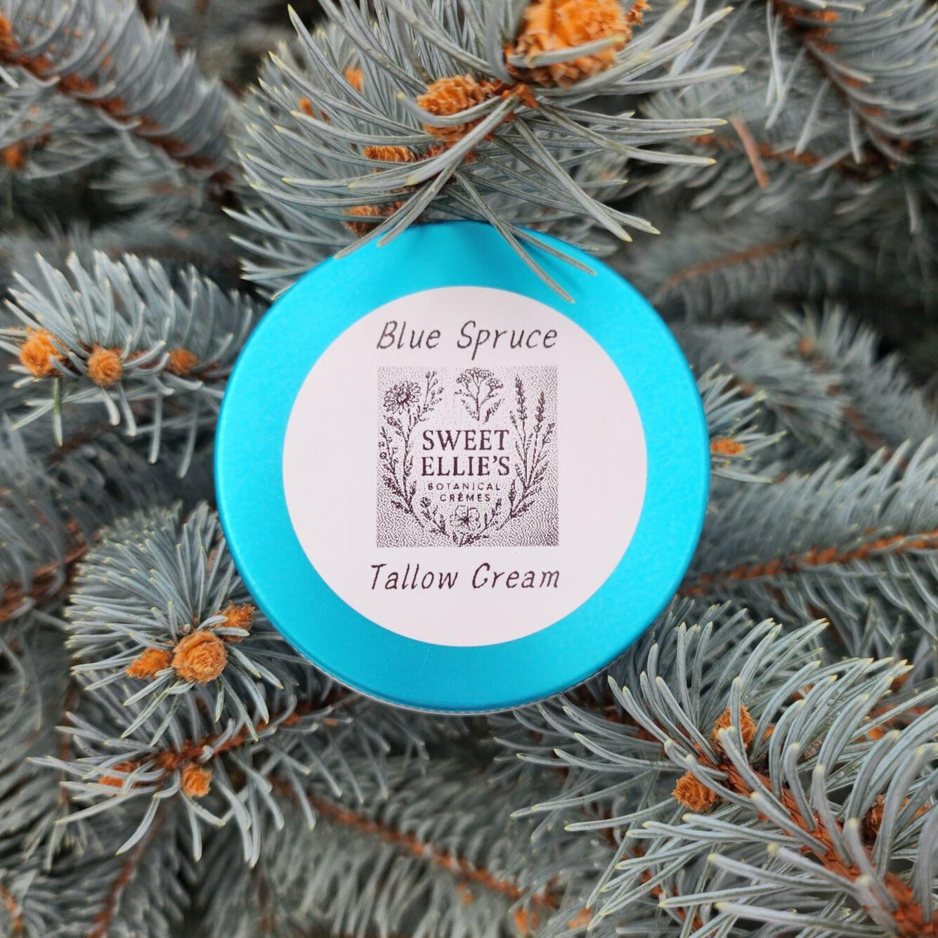 Blue Spruce Tallow Cream